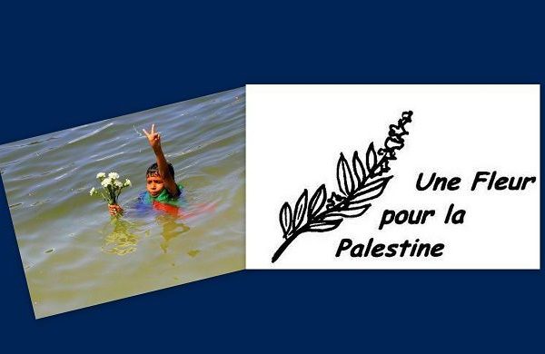 Une Fleur pour la Palestine – Sainte Bathilde